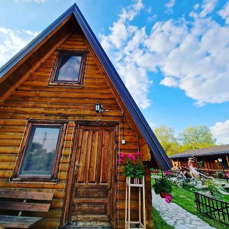 Lolini Bungalovi Novi Sad Dış mekan fotoğraf