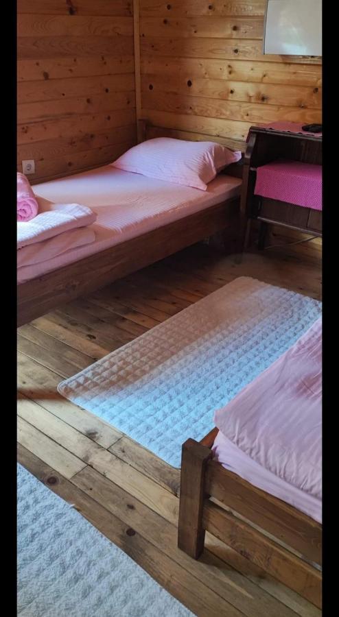 Lolini Bungalovi Novi Sad Dış mekan fotoğraf