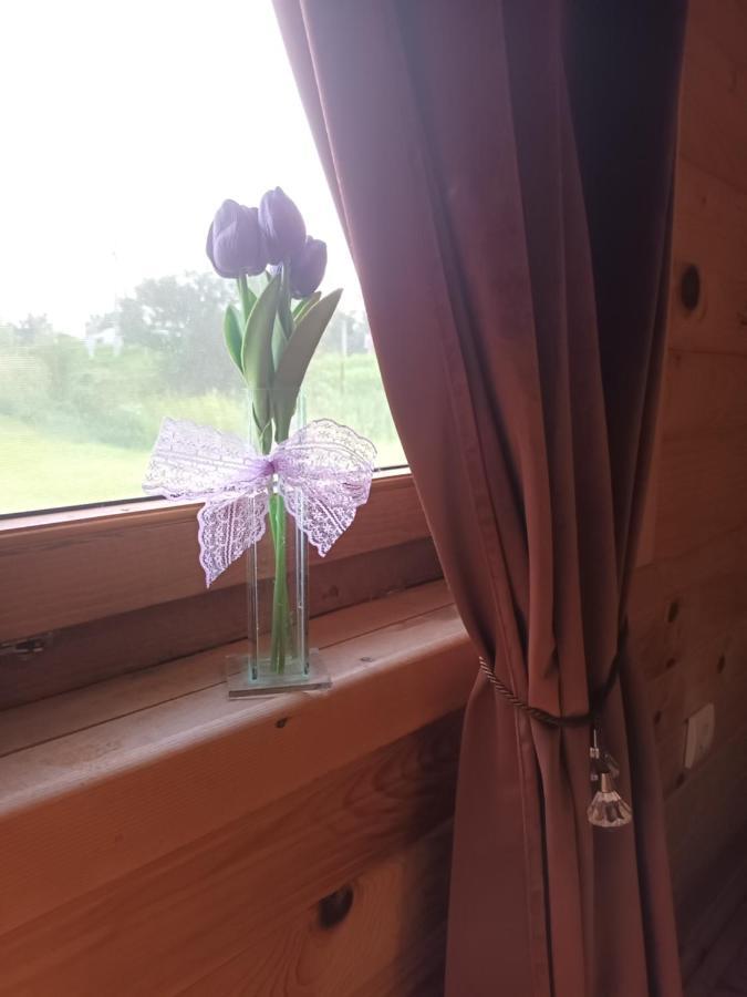Lolini Bungalovi Novi Sad Dış mekan fotoğraf