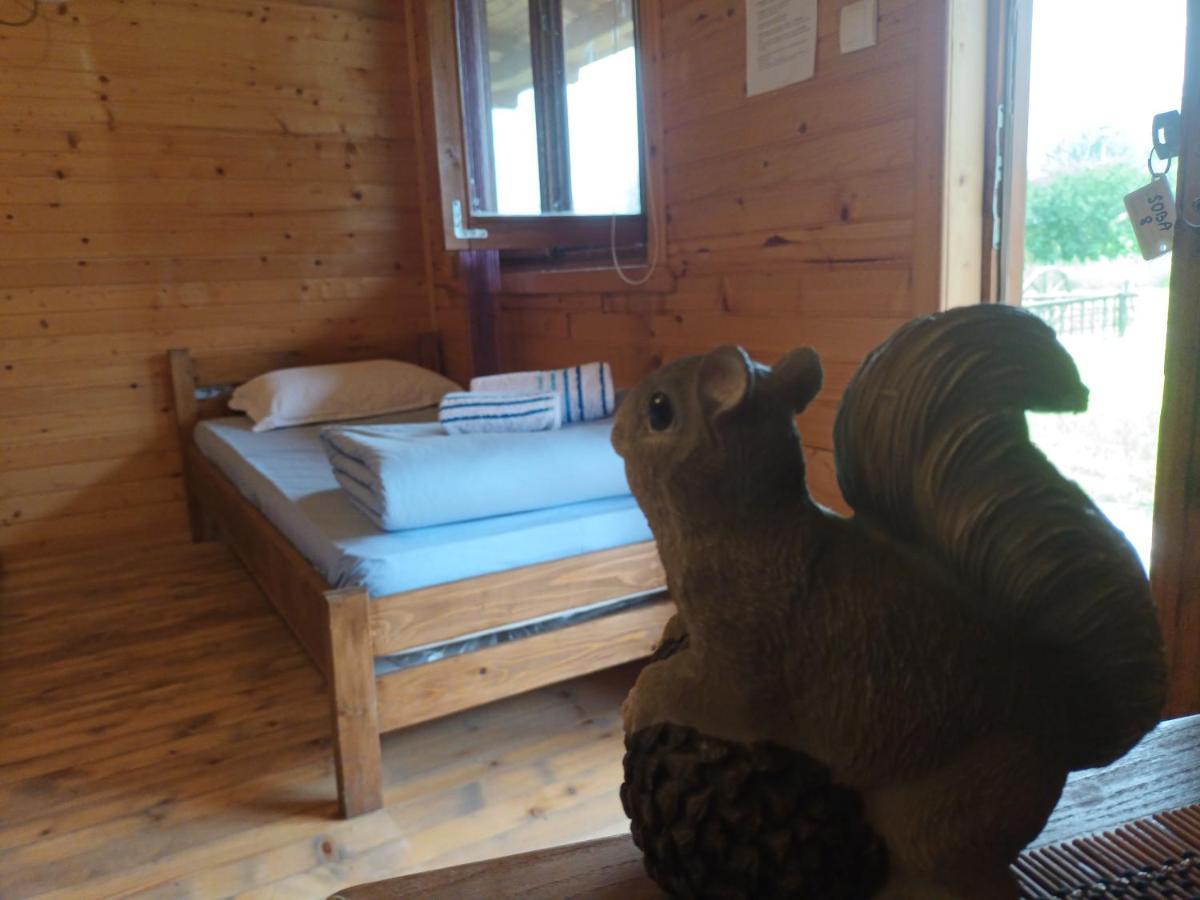 Lolini Bungalovi Novi Sad Dış mekan fotoğraf