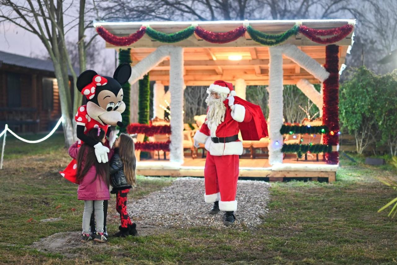 Lolini Bungalovi Novi Sad Dış mekan fotoğraf