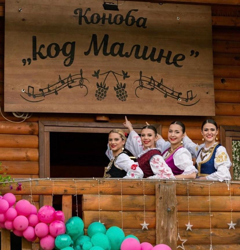 Lolini Bungalovi Novi Sad Dış mekan fotoğraf